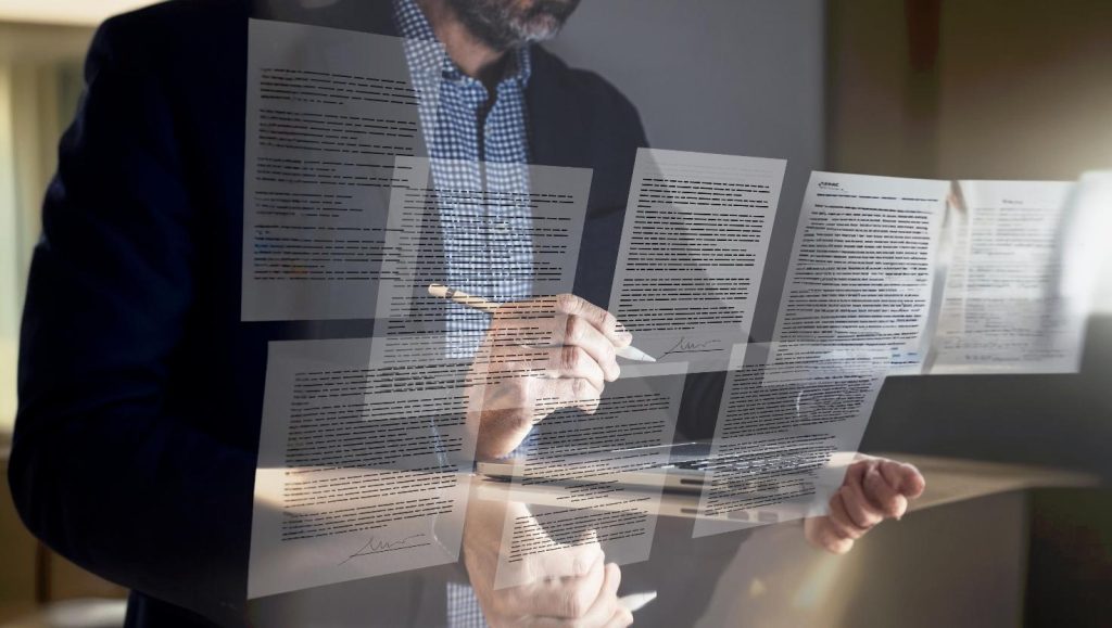 principios constitucionais